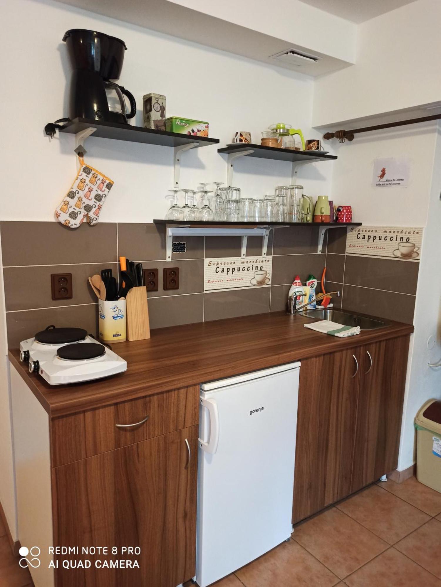 Apartman U Kocky ブランスコ 部屋 写真